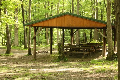 A wooden picnic shelter with tables surrounded by lush green trees in a forested area.