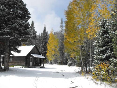 A cozy log cabin surrounded by snow-covered ground and vibrant yellow trees in a winter landscape.