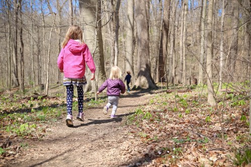 Two children walk along a forest trail, surrounded by trees and spring foliage, with one child in a pink jacket.