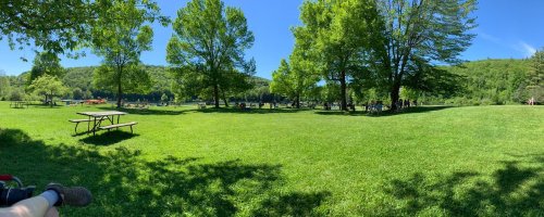 A sunny park scene with green grass, trees, and people enjoying a picnic in the background.