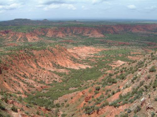A vast canyon landscape with red rock formations and green vegetation under a cloudy sky.