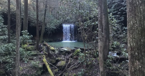 A serene forest scene featuring a waterfall cascading into a tranquil pool, surrounded by trees and lush greenery.