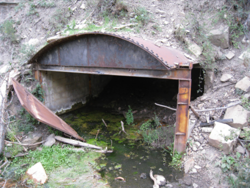Rusty, abandoned metal structure overgrown with vegetation, partially submerged in a small, stagnant water body.