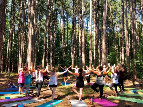 A group of people practicing yoga in a forest, surrounded by tall trees, with colorful mats on the ground.
