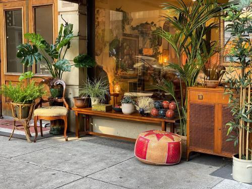 A cozy storefront with plants, vintage furniture, and decorative items arranged outside on a sunny day.