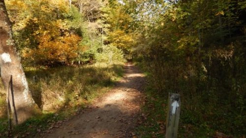 A winding dirt path through a forest with autumn foliage and a directional sign.