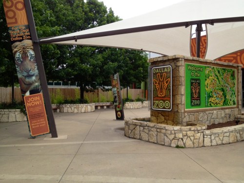 Entrance to the Dallas Zoo featuring a tiger mural and informational signs under a shaded canopy.
