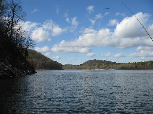 A serene lake surrounded by hills and trees under a blue sky with fluffy clouds.
