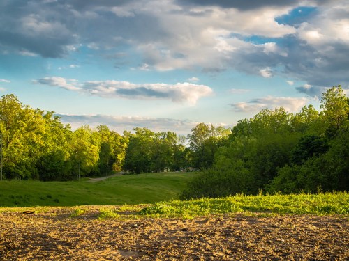 A serene landscape featuring lush green trees, a grassy field, and a blue sky with scattered clouds.