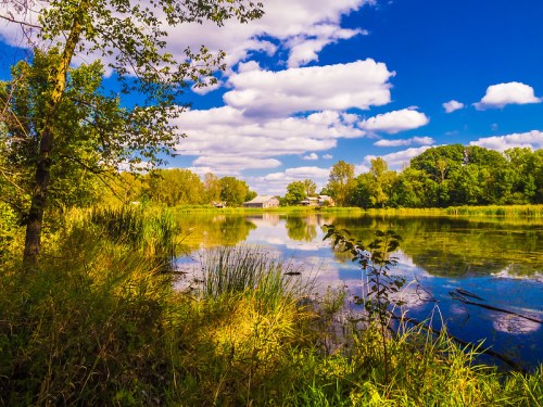 A serene lake surrounded by lush greenery and trees, reflecting fluffy clouds and a blue sky.