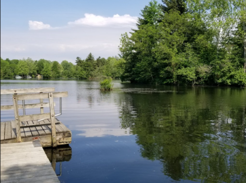 A serene lake surrounded by lush greenery, with a wooden dock extending into the calm water under a blue sky.