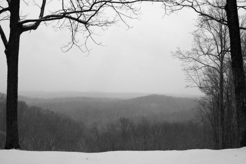 A snowy landscape with bare trees framing a misty, distant view of rolling hills in black and white.