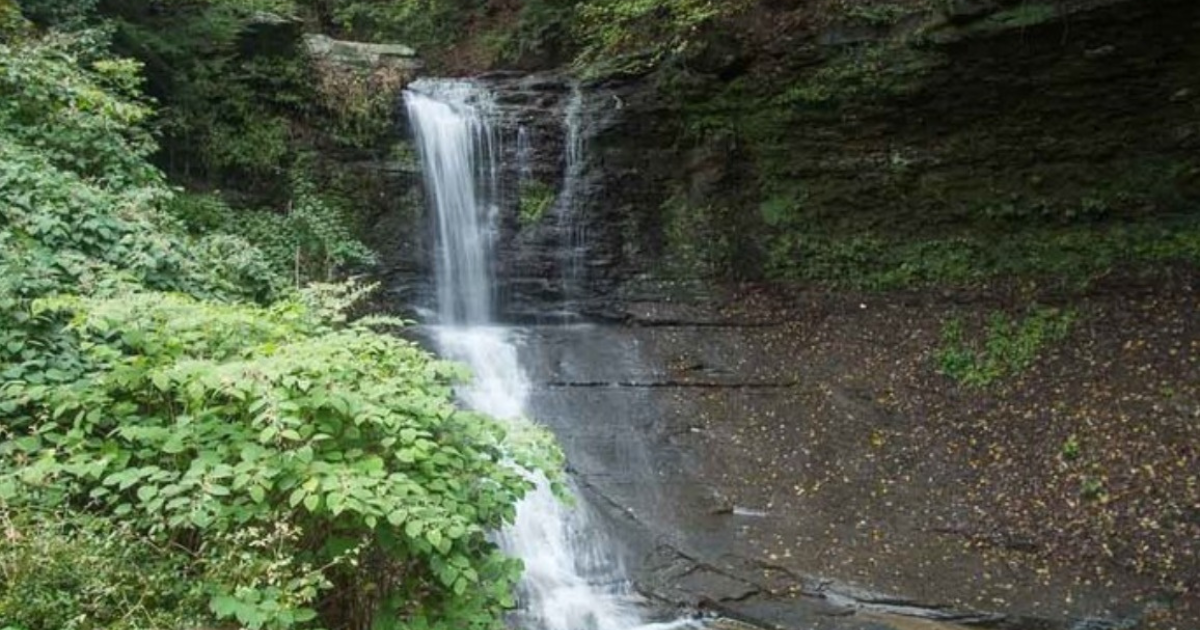 Fall Run Trail In Pennsylvania Is A 1.4-Mile Out-And-Back Hike With A ...