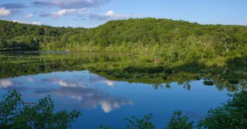 A serene lake surrounded by lush green trees and a clear blue sky, reflecting the landscape in calm waters.