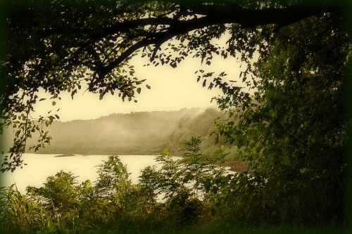 A serene landscape featuring a misty lake surrounded by lush greenery and trees under a soft, hazy sky.