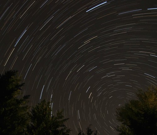 A night sky with star trails creating circular patterns, framed by silhouettes of trees at the bottom.