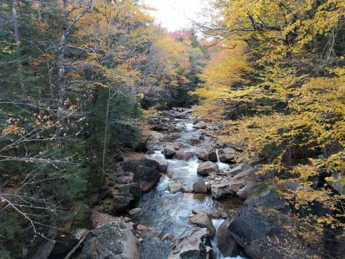 A serene stream flows through a rocky landscape, surrounded by trees with vibrant autumn foliage.