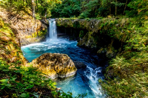 A serene waterfall cascades into a vibrant blue pool, surrounded by lush greenery and rocky formations.
