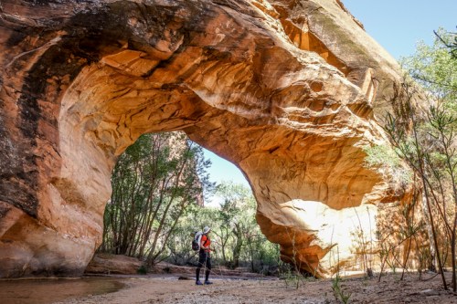 A hiker stands beneath a large rock arch in a canyon, surrounded by trees and a clear blue sky.