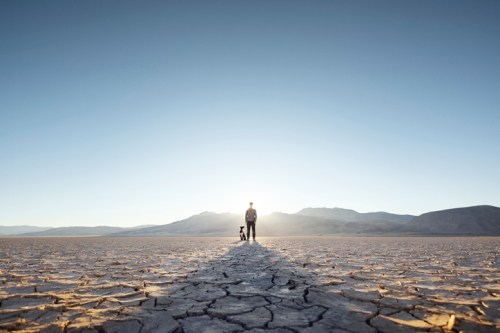 A person and a dog stand on cracked earth, silhouetted against a bright sky and distant mountains at sunrise.