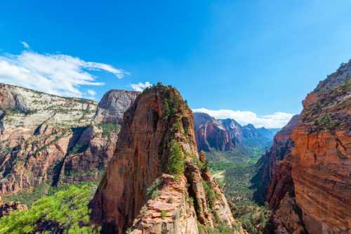 A stunning view of Zion National Park, featuring towering red rock formations and a clear blue sky.