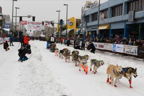 A team of sled dogs races down a snowy street, with spectators and photographers lining the route.