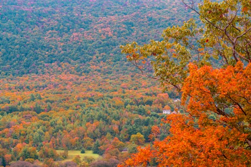 Vibrant autumn foliage covers rolling hills, with a hint of a white house nestled among the trees.