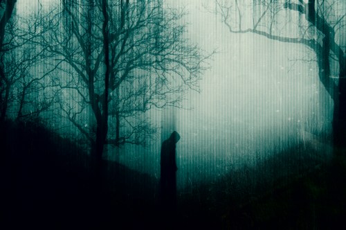 A shadowy figure stands alone in a foggy landscape, surrounded by bare trees and a mysterious atmosphere.