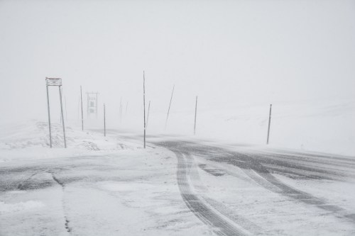 A snowy road disappears into a whiteout, with faint poles and a bus stop visible in the distance.
