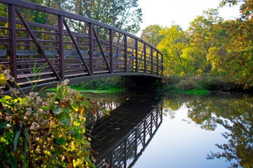 A wooden bridge arches over a calm river, surrounded by lush greenery and autumn-colored trees.