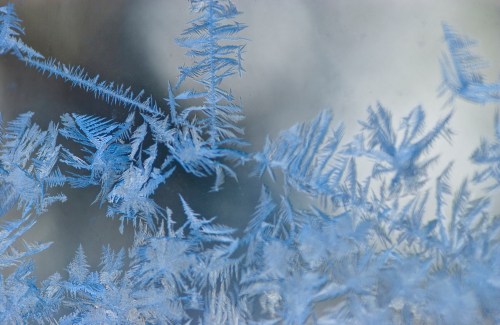 Close-up of intricate frost patterns on a window, showcasing delicate, icy blue crystals.
