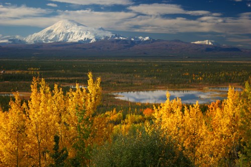 A scenic view of a snow-capped mountain above a vibrant autumn landscape with golden trees and a reflective lake.