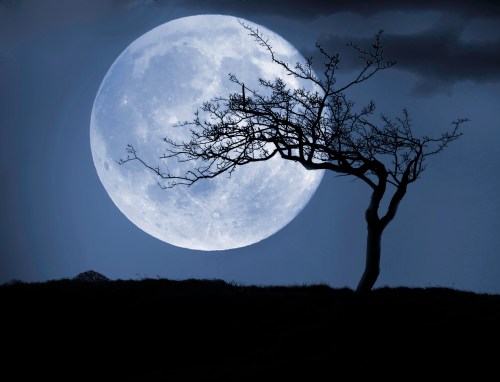 A silhouetted tree against a large, glowing full moon in a dark, moody sky.