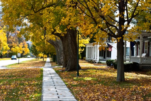 A tree-lined street with vibrant yellow leaves, a sidewalk, and charming houses, creating a picturesque autumn scene.