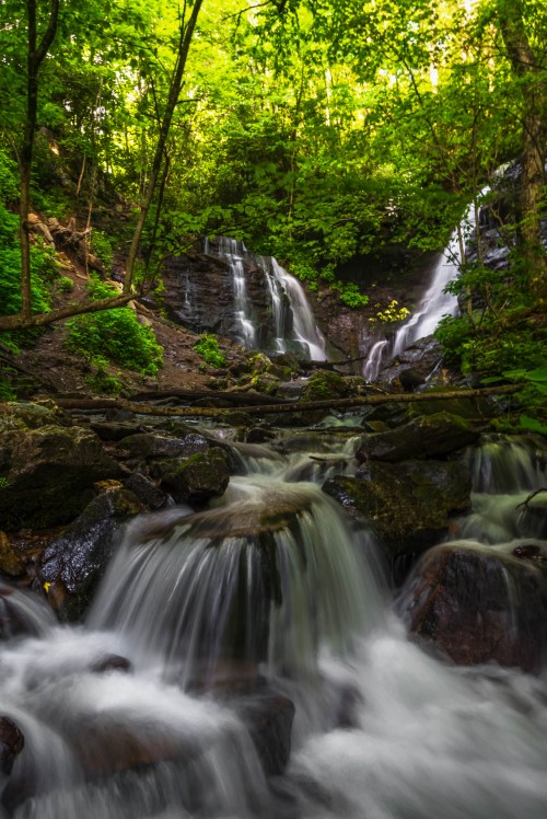 A serene waterfall cascades over rocks, surrounded by lush green trees and vibrant foliage in a tranquil forest setting.