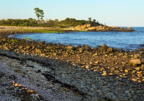 A rocky shoreline with pebbles and shells, leading to calm waters and a distant tree-lined island under a clear sky.