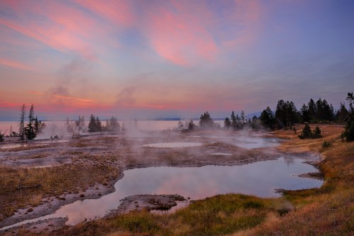 A serene landscape at dawn featuring steam rising from geothermal pools, surrounded by trees and a colorful sky.