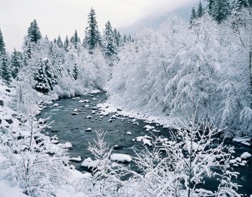 A serene winter landscape featuring a snow-covered river surrounded by frosted trees and rocky banks.