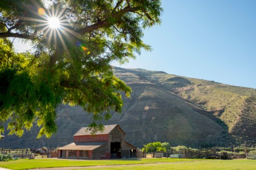 A sunburst shines over a rustic barn near a mountain, framed by a tree and green grass in a serene landscape.