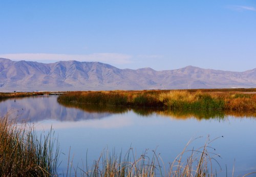 A serene landscape featuring a calm lake surrounded by tall grasses and distant mountains under a clear blue sky.