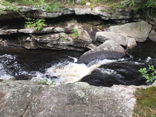 A rocky riverbank with flowing dark water and small rapids surrounded by lush greenery.