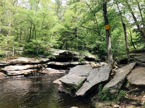 A serene forest scene featuring a rocky riverbank, lush green trees, and a warning sign near the water.