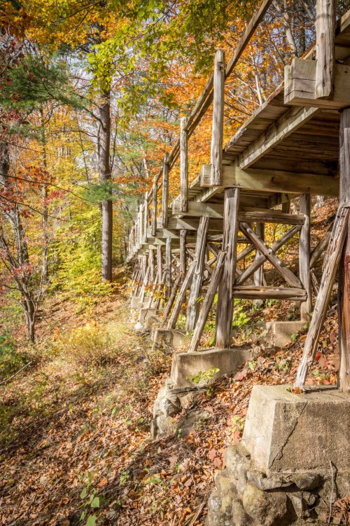 A wooden walkway elevated on posts, surrounded by colorful autumn foliage and trees.