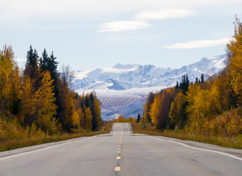 A scenic road lined with autumn trees leads to snow-capped mountains under a clear sky.
