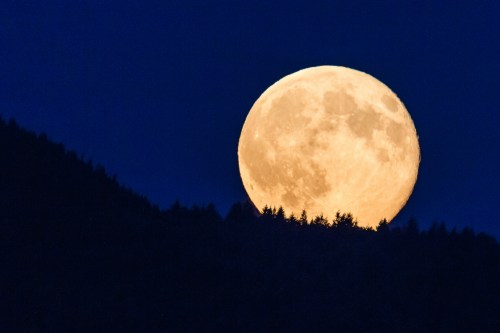 A large, bright full moon rises above a dark silhouette of trees on a mountain against a deep blue sky.
