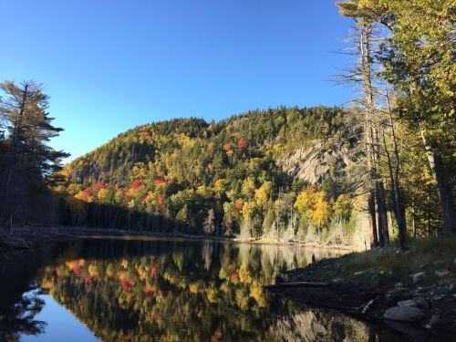 A serene lake reflects colorful autumn trees and a clear blue sky, surrounded by a forested hillside.