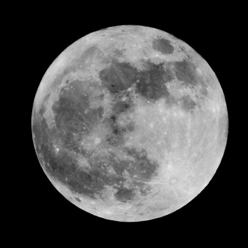 A close-up view of the full moon against a black background, showcasing its craters and surface details.