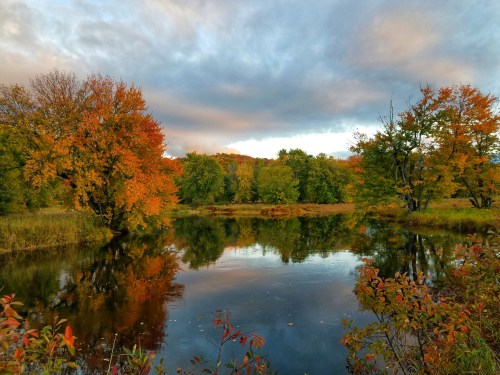 A serene autumn landscape with colorful trees reflecting in a calm river under a cloudy sky.