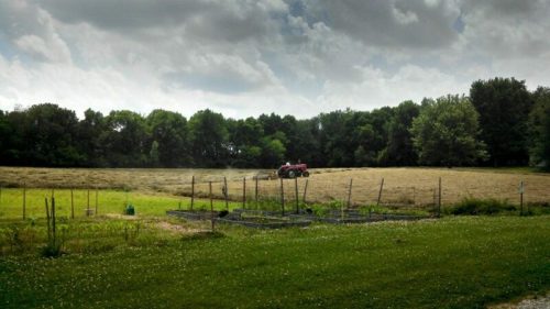 A red tractor works in a field under a cloudy sky, with a garden plot in the foreground and trees in the background.