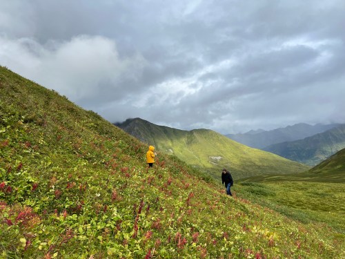 Two people walking on a lush green hillside with colorful plants, under a cloudy sky and mountains in the background.